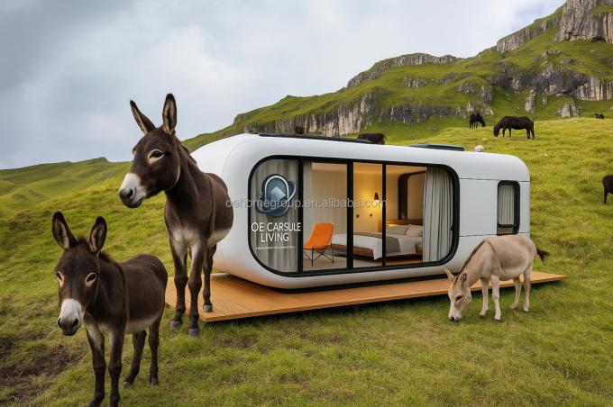 Luxury 20ft Modern Shipping Container House Małe mieszkaniowe Prefab Structure Steel For Hotels Wille Apartamenty 5